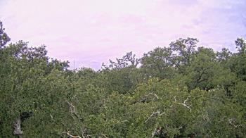 Weather camera view of Metairie Club Gardens.