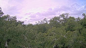 Weather camera view of Metairie Club Gardens.