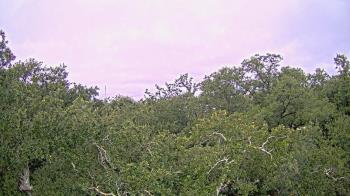 Weather camera view of Metairie Club Gardens.
