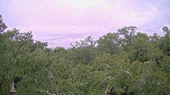 Weather camera view of Metairie Club Gardens.