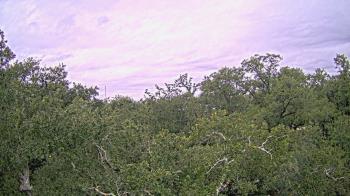 Weather camera view of Metairie Club Gardens.