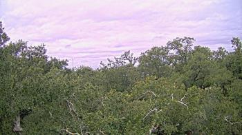 Weather camera view of Metairie Club Gardens.