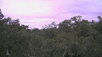 Weather camera view of Metairie Club Gardens.