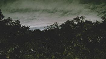 Weather camera view of Metairie Club Gardens.