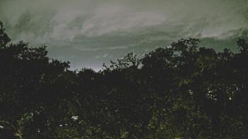 Weather camera view of Metairie Club Gardens.