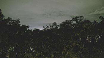 Weather camera view of Metairie Club Gardens.