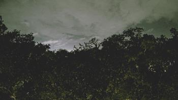 Weather camera view of Metairie Club Gardens.