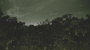 Weather camera view of Metairie Club Gardens.