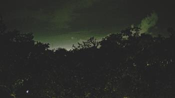 Weather camera view of Metairie Club Gardens.