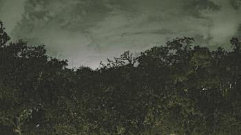 Weather camera view of Metairie Club Gardens.