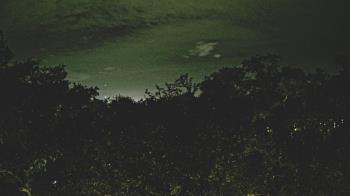 Weather camera view of Metairie Club Gardens.