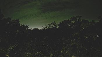 Weather camera view of Metairie Club Gardens.