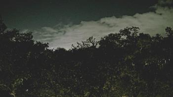 Weather camera view of Metairie Club Gardens.