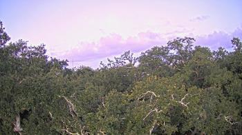 Weather camera view of Metairie Club Gardens.