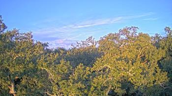 Weather camera view of Metairie Club Gardens.