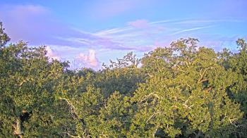 Weather camera view of Metairie Club Gardens.