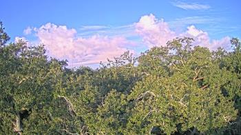 Weather camera view of Metairie Club Gardens.