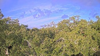Weather camera view of Metairie Club Gardens.