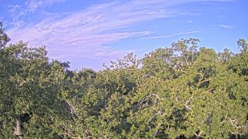 Weather camera view of Metairie Club Gardens.