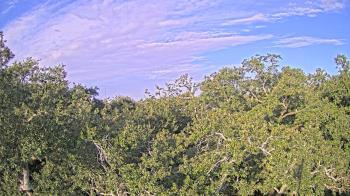 Weather camera view of Metairie Club Gardens.
