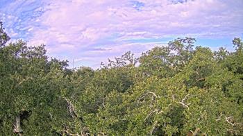 Weather camera view of Metairie Club Gardens.