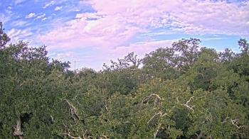 Weather camera view of Metairie Club Gardens.