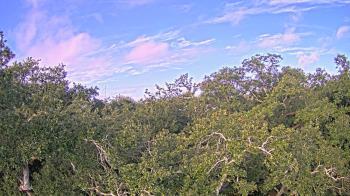 Weather camera view of Metairie Club Gardens.