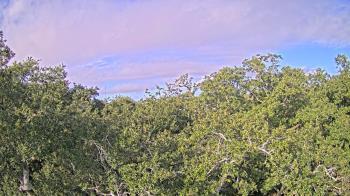 Weather camera view of Metairie Club Gardens.