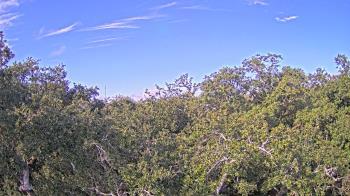 Weather camera view of Metairie Club Gardens.