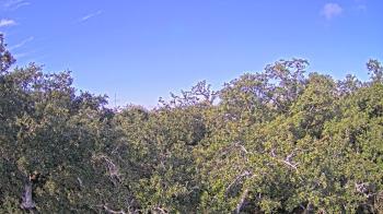 Weather camera view of Metairie Club Gardens.
