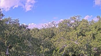 Weather camera view of Metairie Club Gardens.