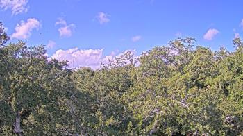 Weather camera view of Metairie Club Gardens.