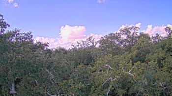 Weather camera view of Metairie Club Gardens.