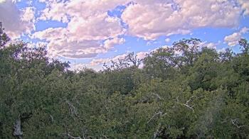 Weather camera view of Metairie Club Gardens.