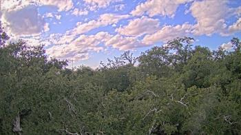 Weather camera view of Metairie Club Gardens.