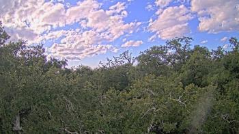 Weather camera view of Metairie Club Gardens.