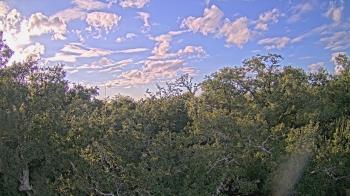 Weather camera view of Metairie Club Gardens.