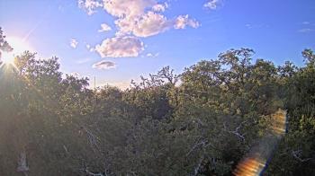 Weather camera view of Metairie Club Gardens.