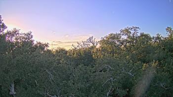 Weather camera view of Metairie Club Gardens.