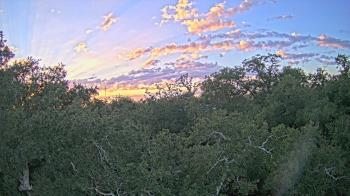 Weather camera view of Metairie Club Gardens.