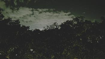 Weather camera view of Metairie Club Gardens.