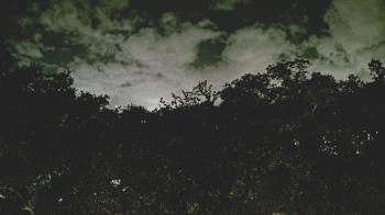 Weather camera view of Metairie Club Gardens.