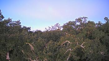 Weather camera view of Metairie Club Gardens.