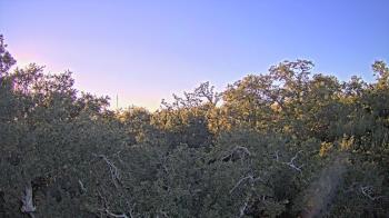 Weather camera view of Metairie Club Gardens.