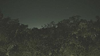 Weather camera view of Metairie Club Gardens.