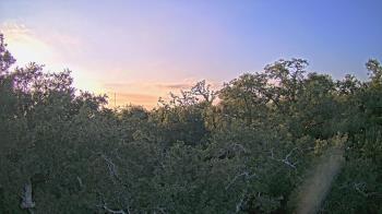 Weather camera view of Metairie Club Gardens.