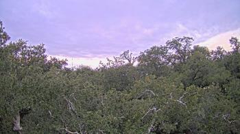 Weather camera view of Metairie Club Gardens.