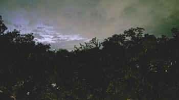 Weather camera view of Metairie Club Gardens.