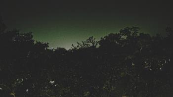 Weather camera view of Metairie Club Gardens.