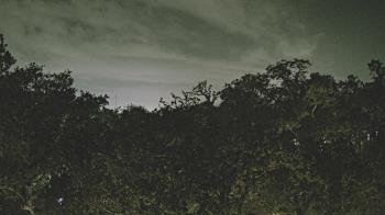 Weather camera view of Metairie Club Gardens.